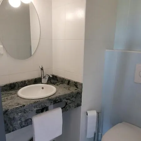 Otel Logis Restaurant Le Cygne Yssingeaux