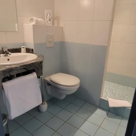 Logis Restaurant Le Cygne 2*