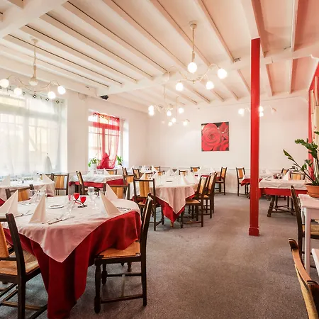 Otel Logis Restaurant Le Cygne 2*