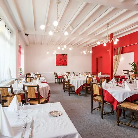 Logis Restaurant Le Cygne Otel 2*