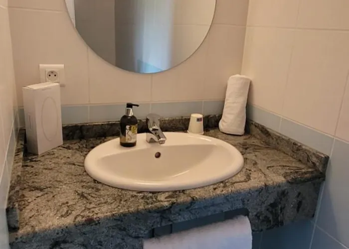 Logis Restaurant Le Cygne 2*