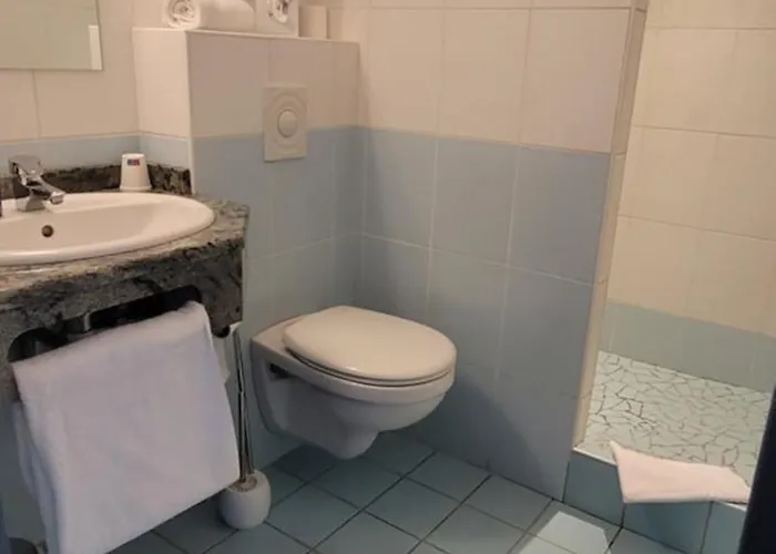 Logis Restaurant Le Cygne 2*