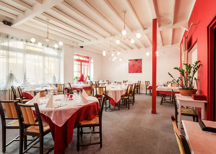 Otel Logis Restaurant Le Cygne 2*