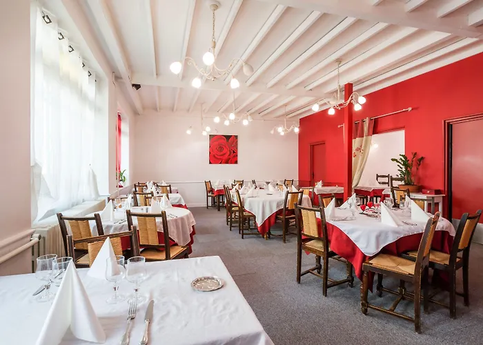 Logis Restaurant Le Cygne Otel 2*