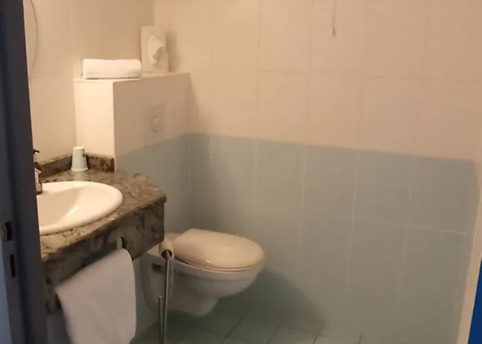 Otel Logis Restaurant Le Cygne Yssingeaux