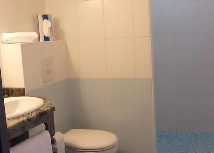 Logis Restaurant Le Cygne 2*