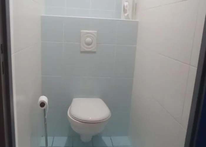 Logis Restaurant Le Cygne 2* Yssingeaux