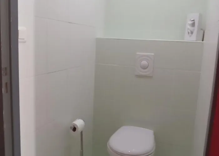 Logis Restaurant Le Cygne Otel 2*