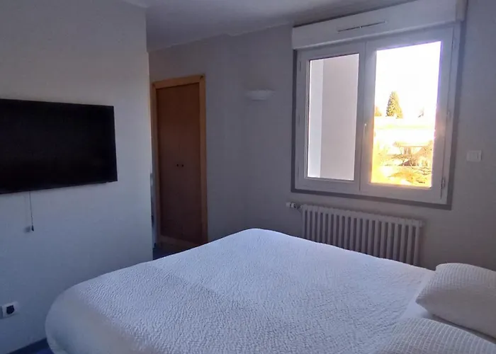 Otel Logis Restaurant Le Cygne Yssingeaux